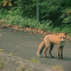 遭遇