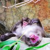 授乳中ですが・・・