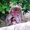 やすらぎの時間