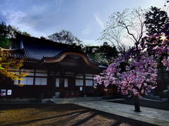 調布市の深大寺