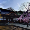 調布市の深大寺