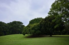 神代植物公園周辺 ♪♪