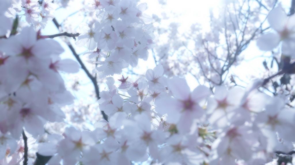 見わたす限り
