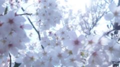 見わたす限り