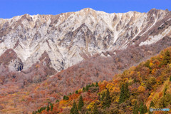 雪の大山と紅葉のコラボ