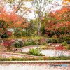 紅葉～勝尾寺～
