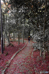 有馬温泉～ 瑞宝寺公園～