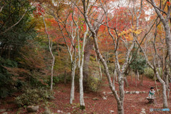 有馬温泉～ 瑞宝寺公園～