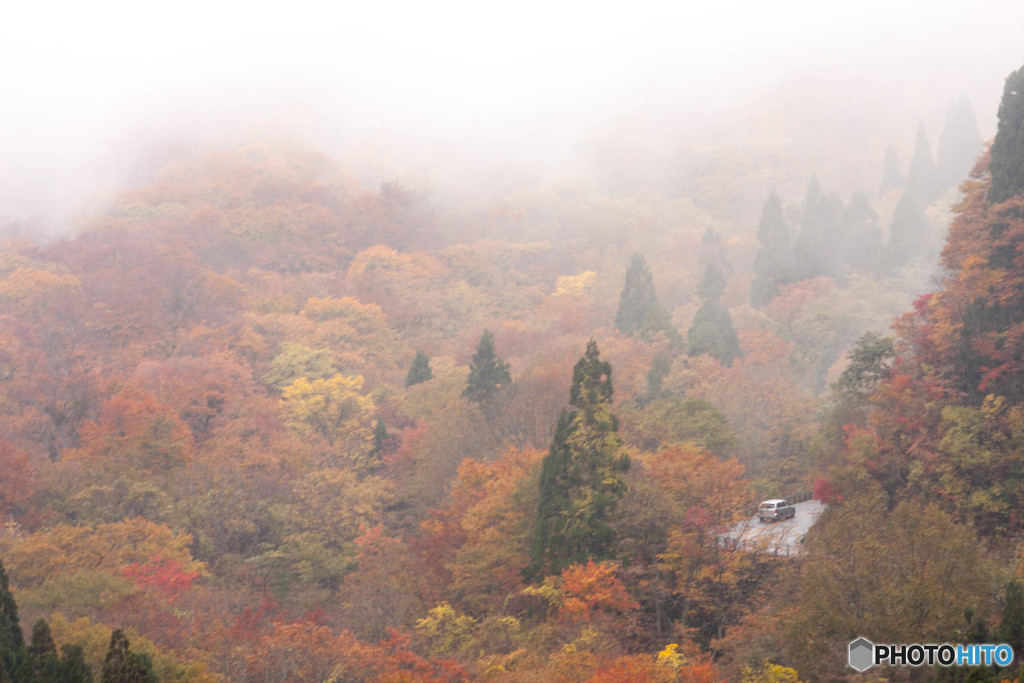 雨降りは残念。。。