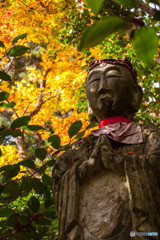 紅葉2018～平福 光明寺～