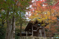 有馬温泉～ 瑞宝寺公園～