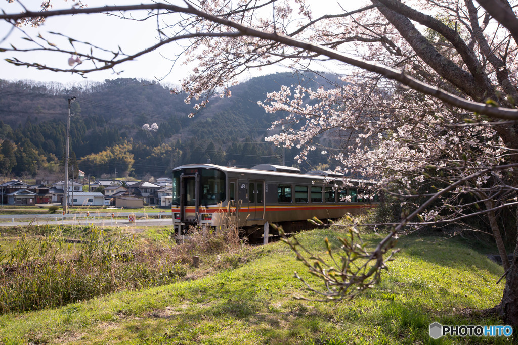 桜と共に～姫新線～