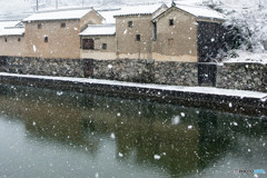 雪、降りました