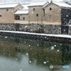 雪、降りました