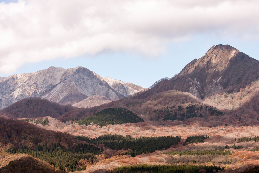 今年の紅葉は大山から