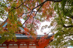 紅葉2018～勝尾寺～