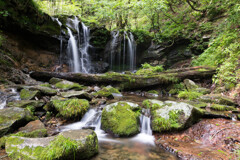 お気に入りの滝