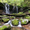 お気に入りの滝