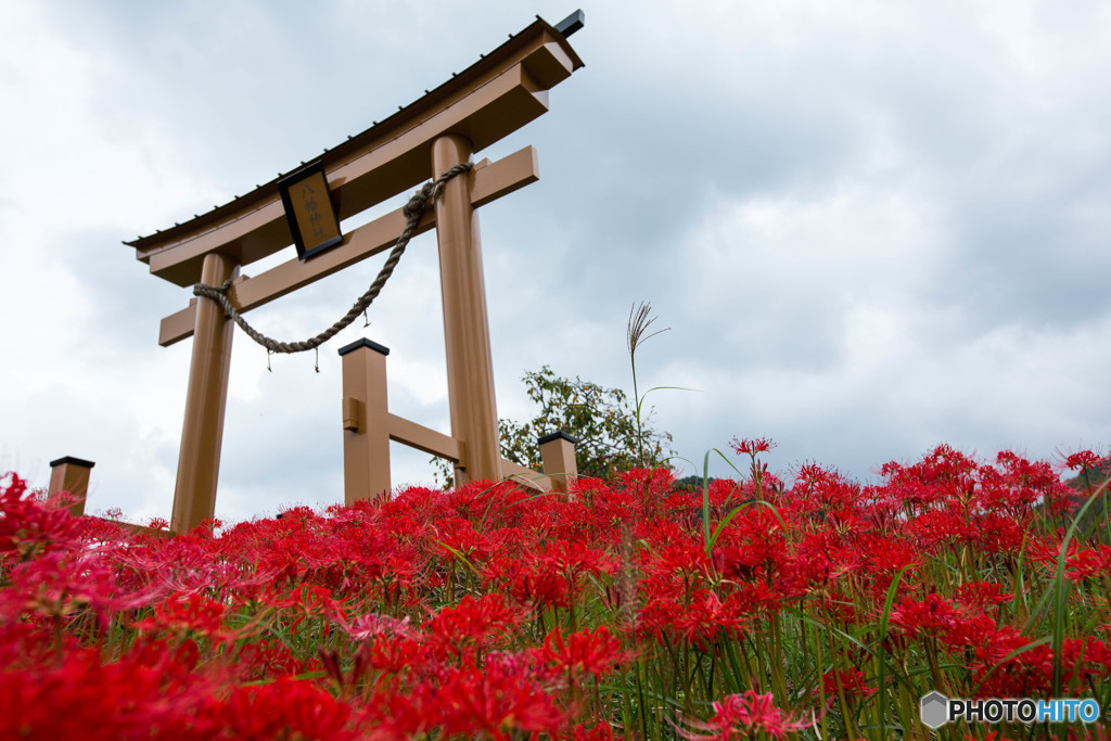 神社の彼岸