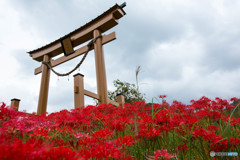 神社の彼岸