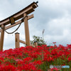 神社の彼岸