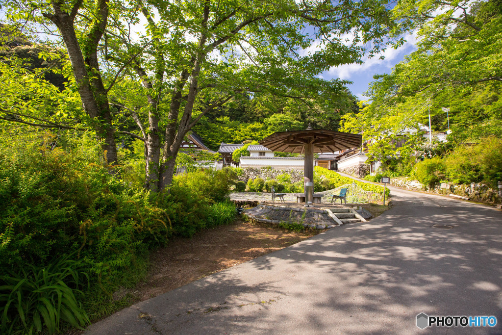 爽やかな初夏の午後