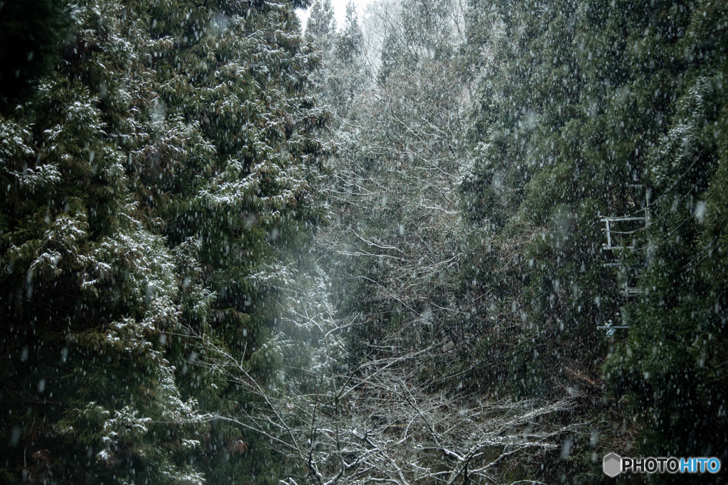 吹雪く