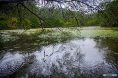 雨模様