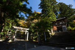 お寺と神社の曲がり角