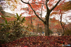 有馬温泉～ 瑞宝寺公園～