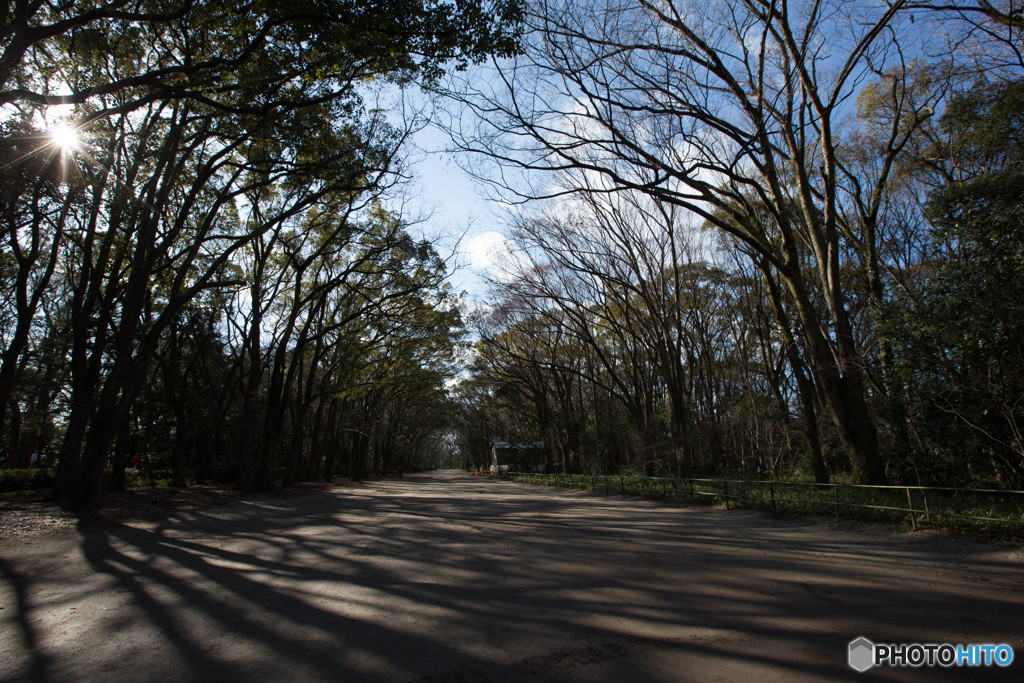 下賀茂神社 馬場