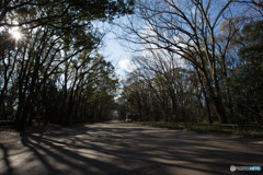 下賀茂神社 馬場