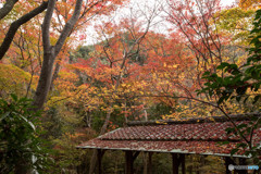 有馬温泉～ 瑞宝寺公園～