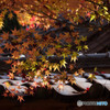 紅葉2018～平福・光明寺～
