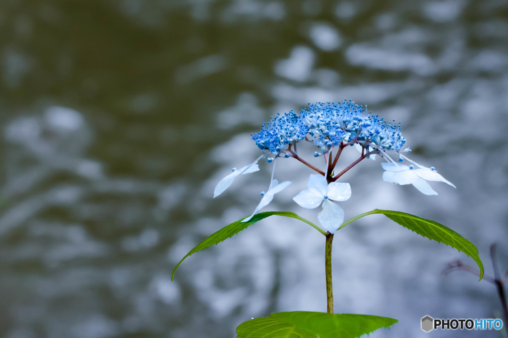 梅雨の憂鬱