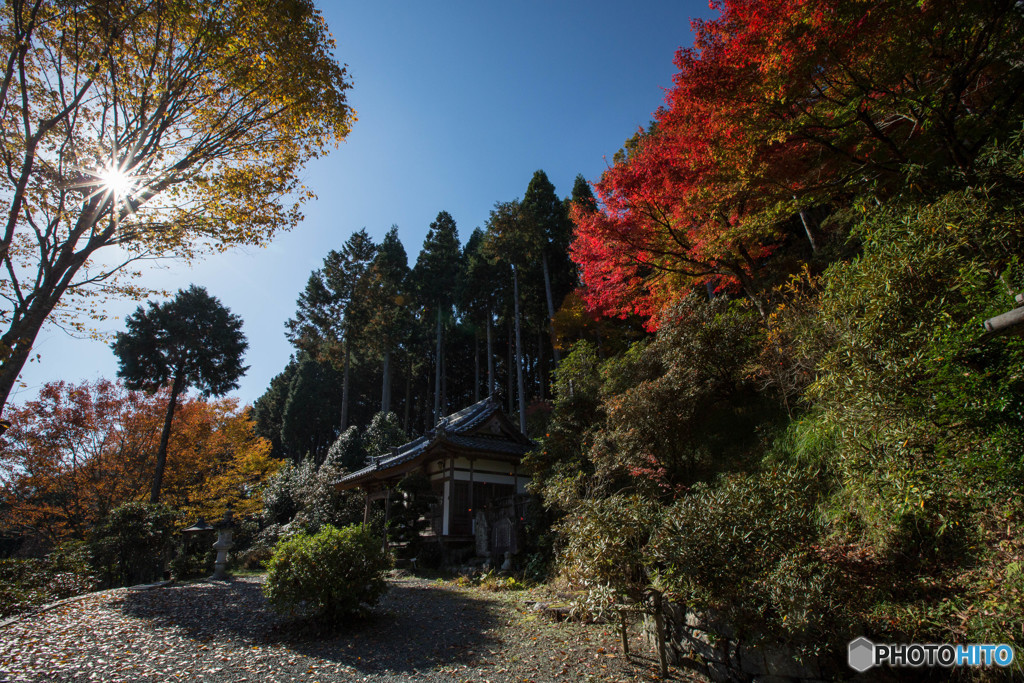 紅葉2018～法師塚～