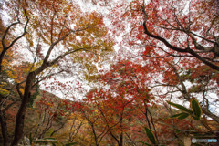 有馬温泉～ 瑞宝寺公園～