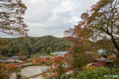 紅葉2018～勝尾寺～