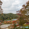 紅葉2018～勝尾寺～