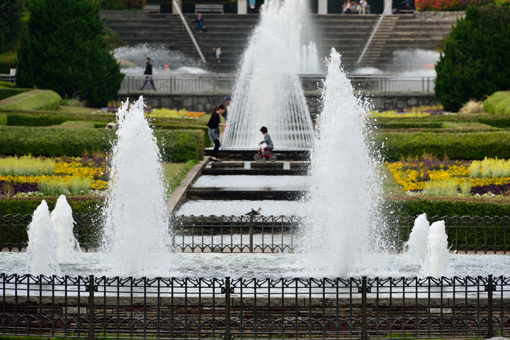 公園の風景