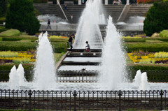 公園の風景