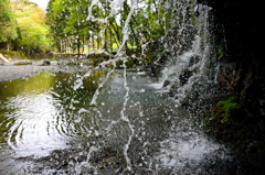 滝の裏側からの風景