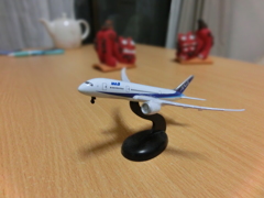 ANA B787
