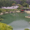 桜の栗林公園