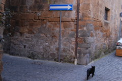 こちらへどうぞ