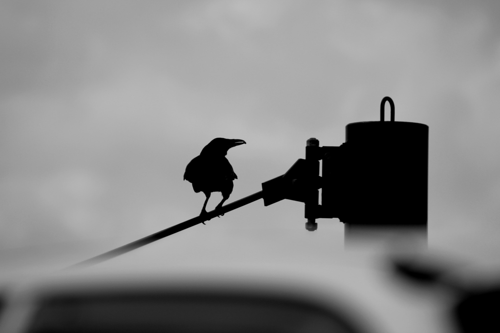 sniper