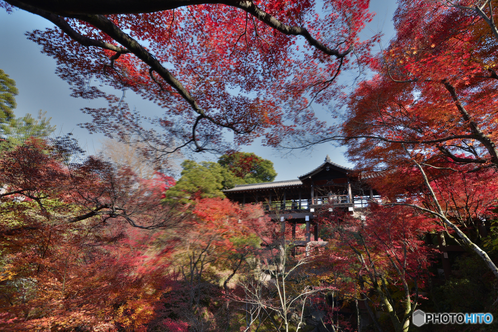 東福寺晩秋「通天橋」（２）