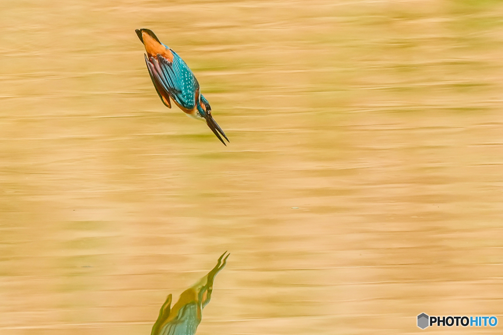いつもの公園「美波」