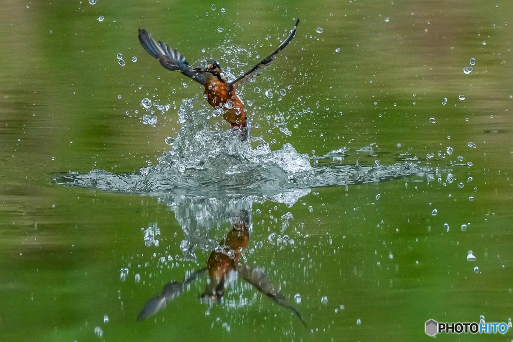 いつもの公園「出たぁ！」