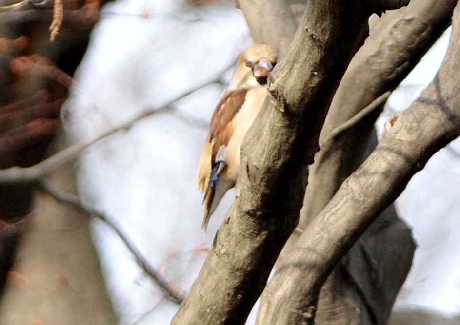 隣町の公園「上半分だけシメ」